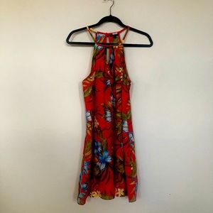 Gorgeous Summer Dress